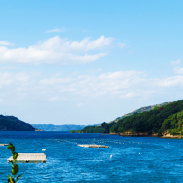 いろは島の様子